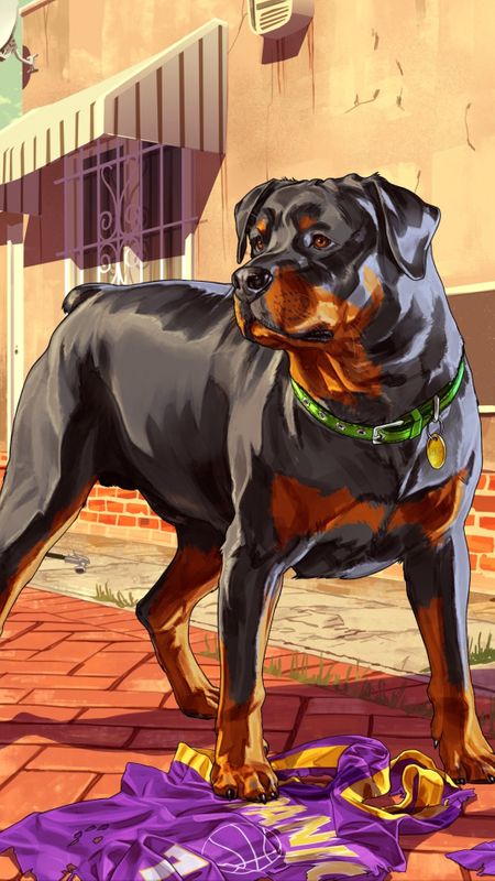 Black Rottweiler Wallpaper Download | MobCup Black Rottweiler Wallpaper Download | MobCup