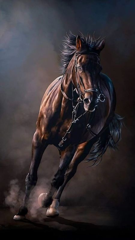 running horses wallpaper