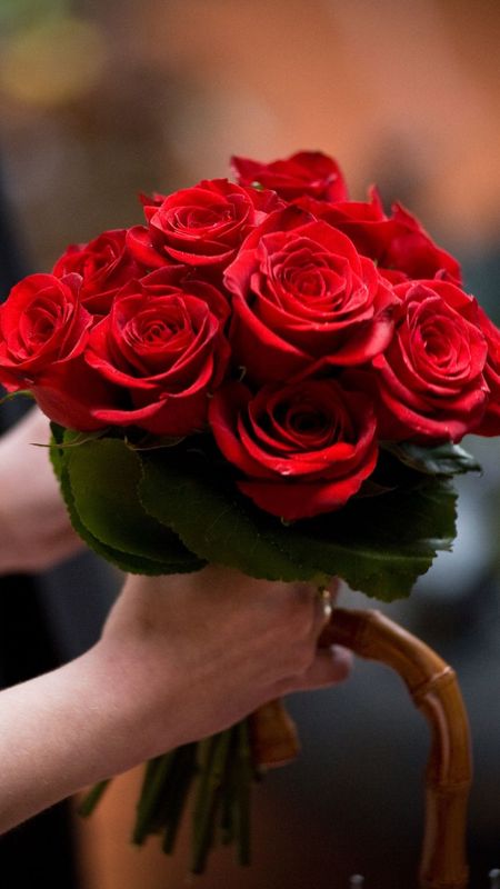Beautiful Flowers Roses - Love - Red Rose Wallpaper Download | MobCup