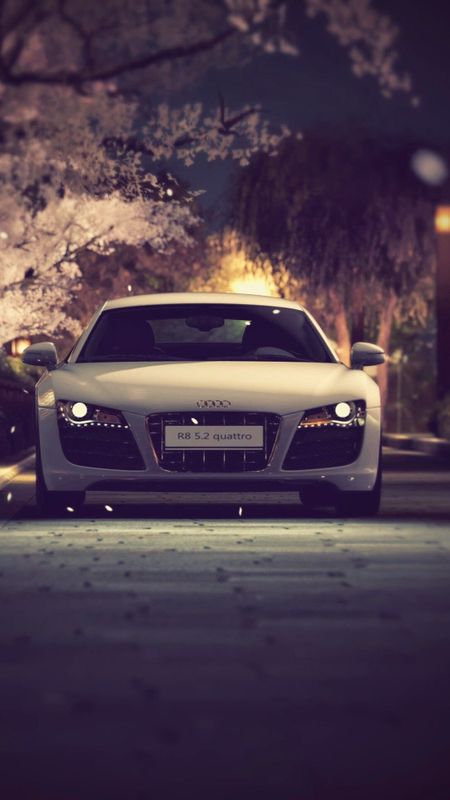 White audi walpaper Wallpaper Download | MobCup