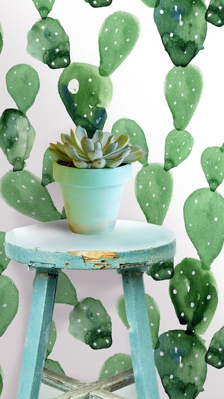 Peel And Stick - Cactus Design Wallpaper Download | MobCup