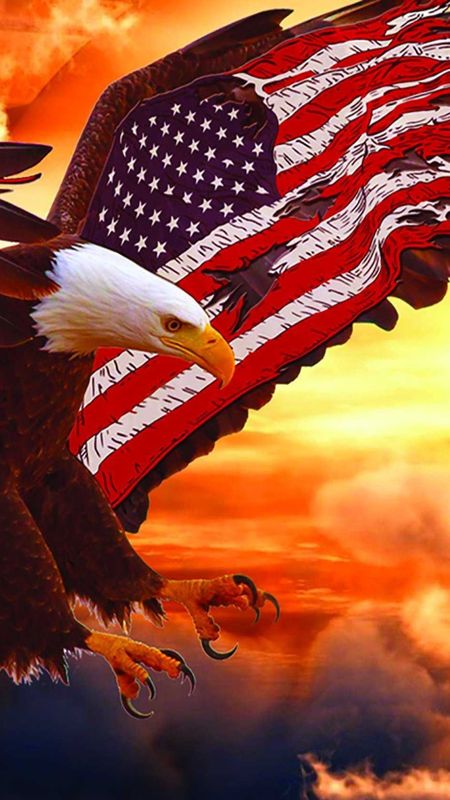 American Flag with Eagle Bald Eagle Flag HD wallpaper  Pxfuel