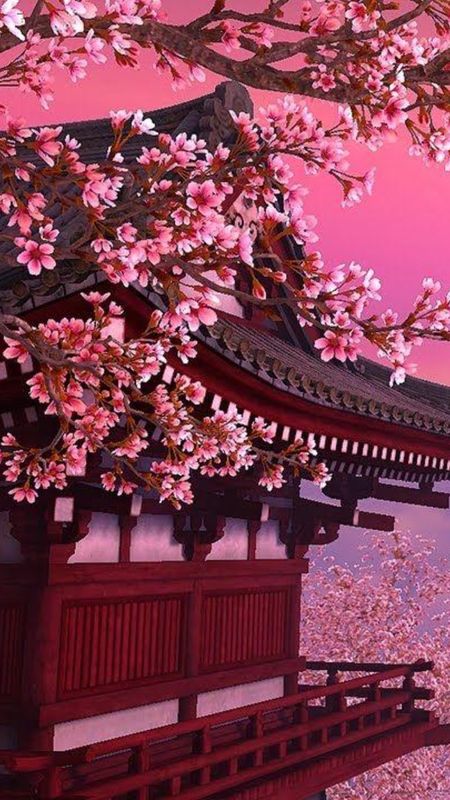 Sakura Tree - Japan House Background Wallpaper Download | MobCup