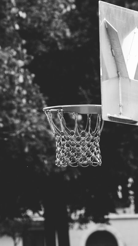 500 Basketball Hoop Pictures HD  Download Free Images on Unsplash