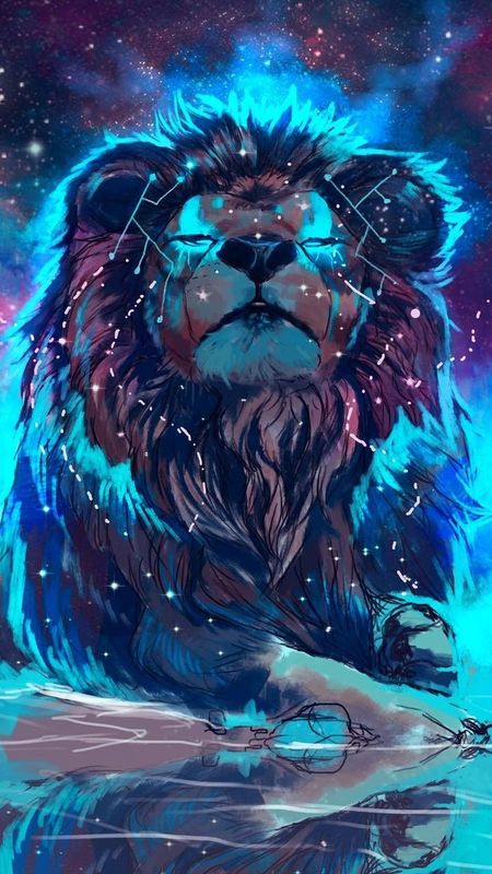 lion wallpaper hd
