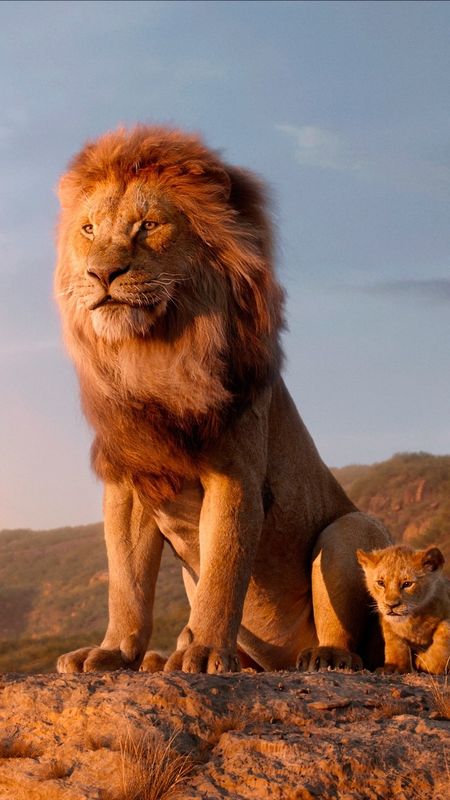 Premium Photo  The lion king wallpapers hd wallpapers