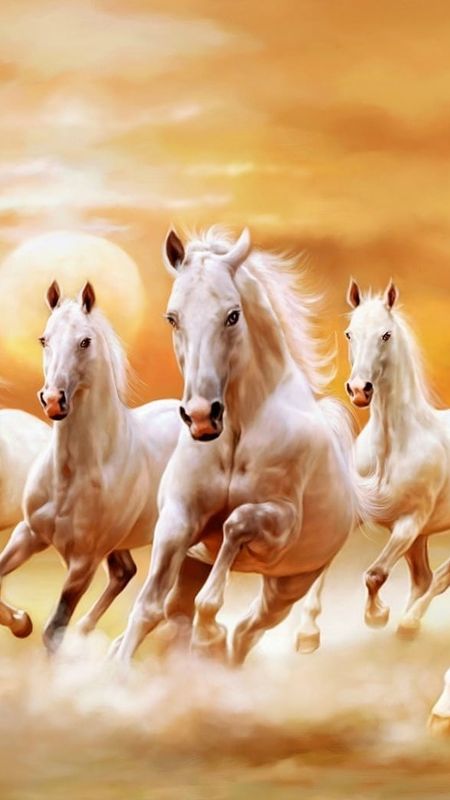 white horse wallpaper