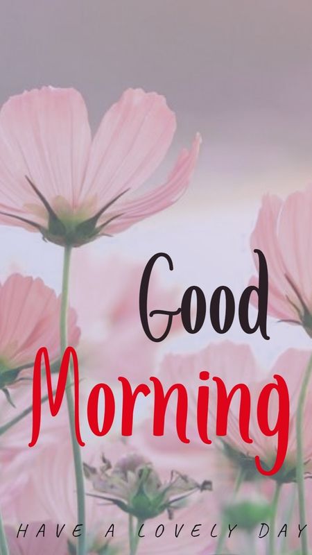 Good Morning - Pink Flowers - Background Wallpaper Download | MobCup