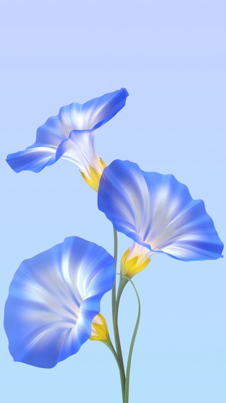 mobile wallpapers flowers