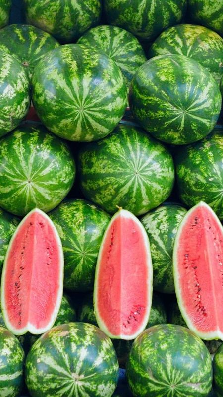 Watermelon Wallpaper Images  Free Download on Freepik