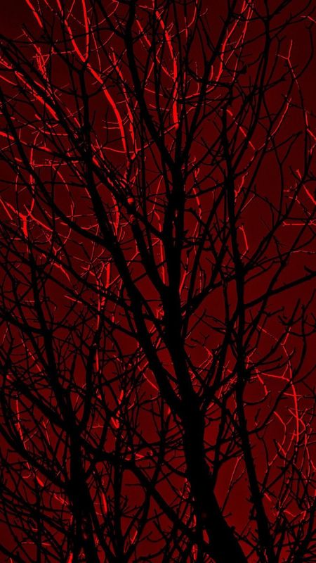 Free download red aesthetic wallpaper Dark red wallpaper Neon wallpaper Red  554x1200 for your Desktop Mobile  Tablet  Explore 43 Aesthetic Red  Wallpapers  Aesthetic Wallpaper Emo Aesthetic Wallpaper Goth Aesthetic  Wallpaper