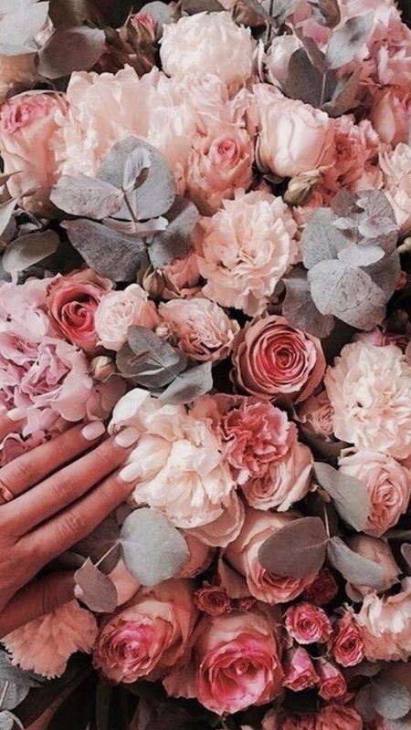 Preety Aesthetic | Rose Wallpaper Download | MobCup
