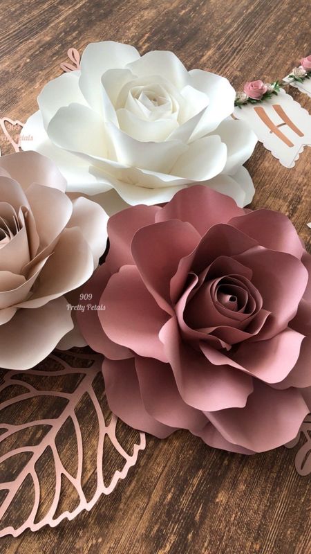 Aesthetic Flower iPhone Wallpaper Ideas for lovers of Floral Backgrounds   The Mood Guide