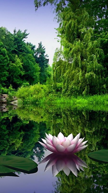 3d Scenery - Beautiful Lotus Flowers On River Surrounded By Green Trees  Wallpaper Download | MobCup