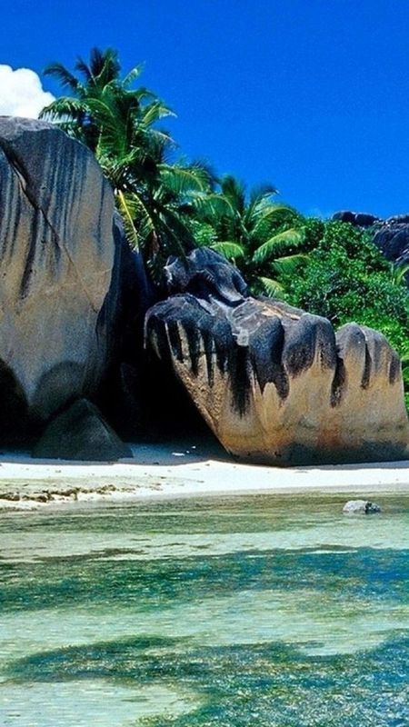 3d Scenery - Tropical Island Wallpaper Download | MobCup
