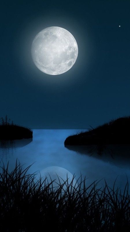 Moon Night Beautiful Nature Wallpaper Download | MobCup