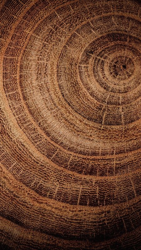 Wooden Style - Circular Wood Grain Wallpaper Download | MobCup