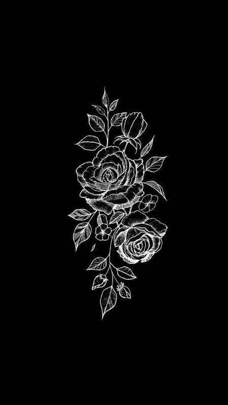 Black And White Rose - Roses - Black Background Wallpaper Download | MobCup