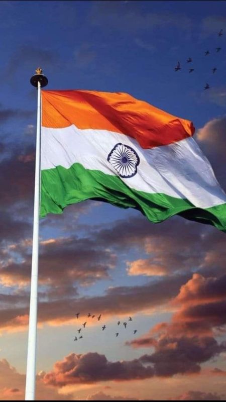 Indian Flag high in the sky Wallpaper Download | MobCup