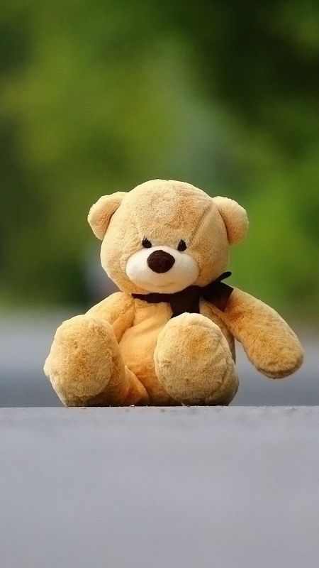 Cute Teddy - Nature - Background Wallpaper Download | MobCup Cute Teddy - Nature - Background Wallpaper Download | MobCup