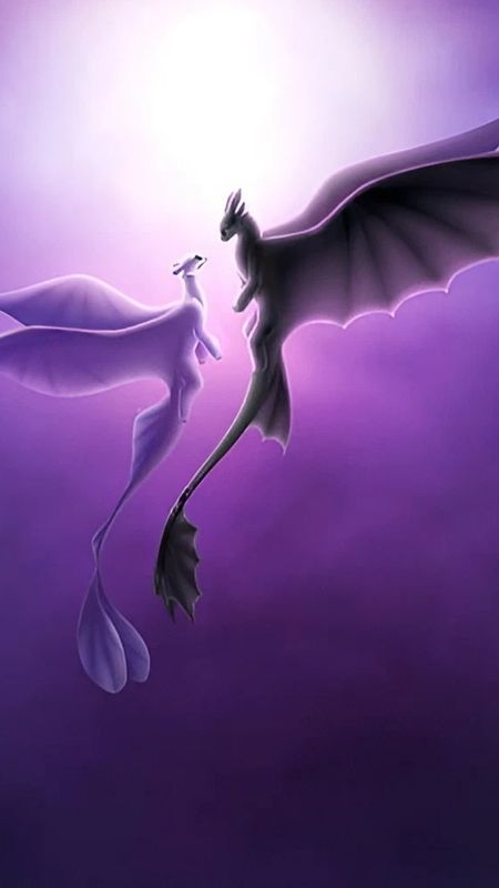 How To Train Your Dragon Night And Light Fury Wallpaper Download Mobcup 3102