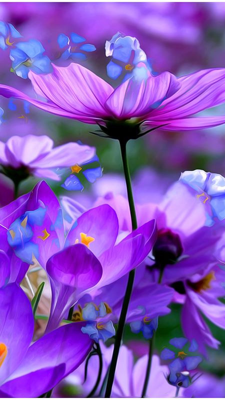 Purple Flowers - Nature - Flowers Background Wallpaper Download | MobCup