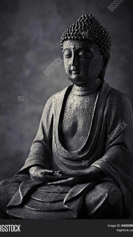 Siddharth Gautam | Lord buddha Wallpaper Download | MobCup