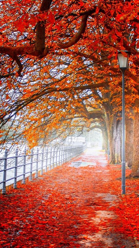 Best Scenery - Autumn Falls Wallpaper Download | MobCup