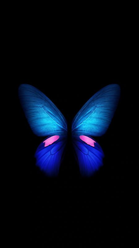 Trending Mobile - Blue Butterfly Wallpaper Download | MobCup