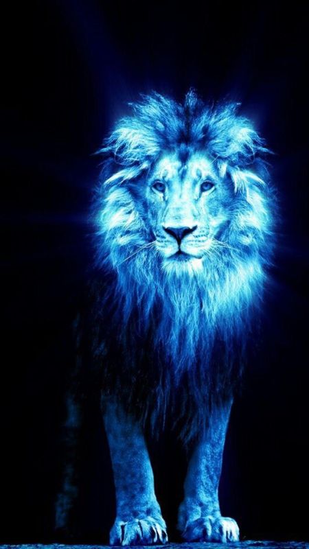 Blue Lion  Jungle Animal Wallpaper Download  MobCup