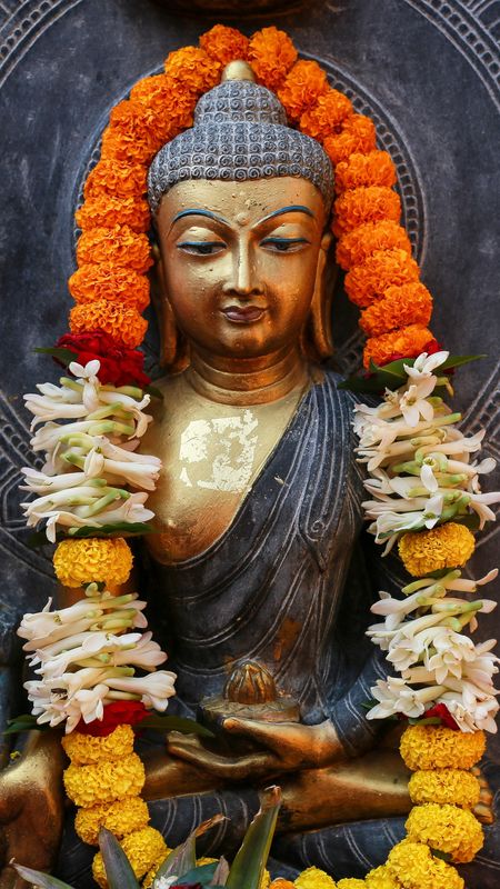 Lord Buddha With Flowers Wallpaper Download | MobCup