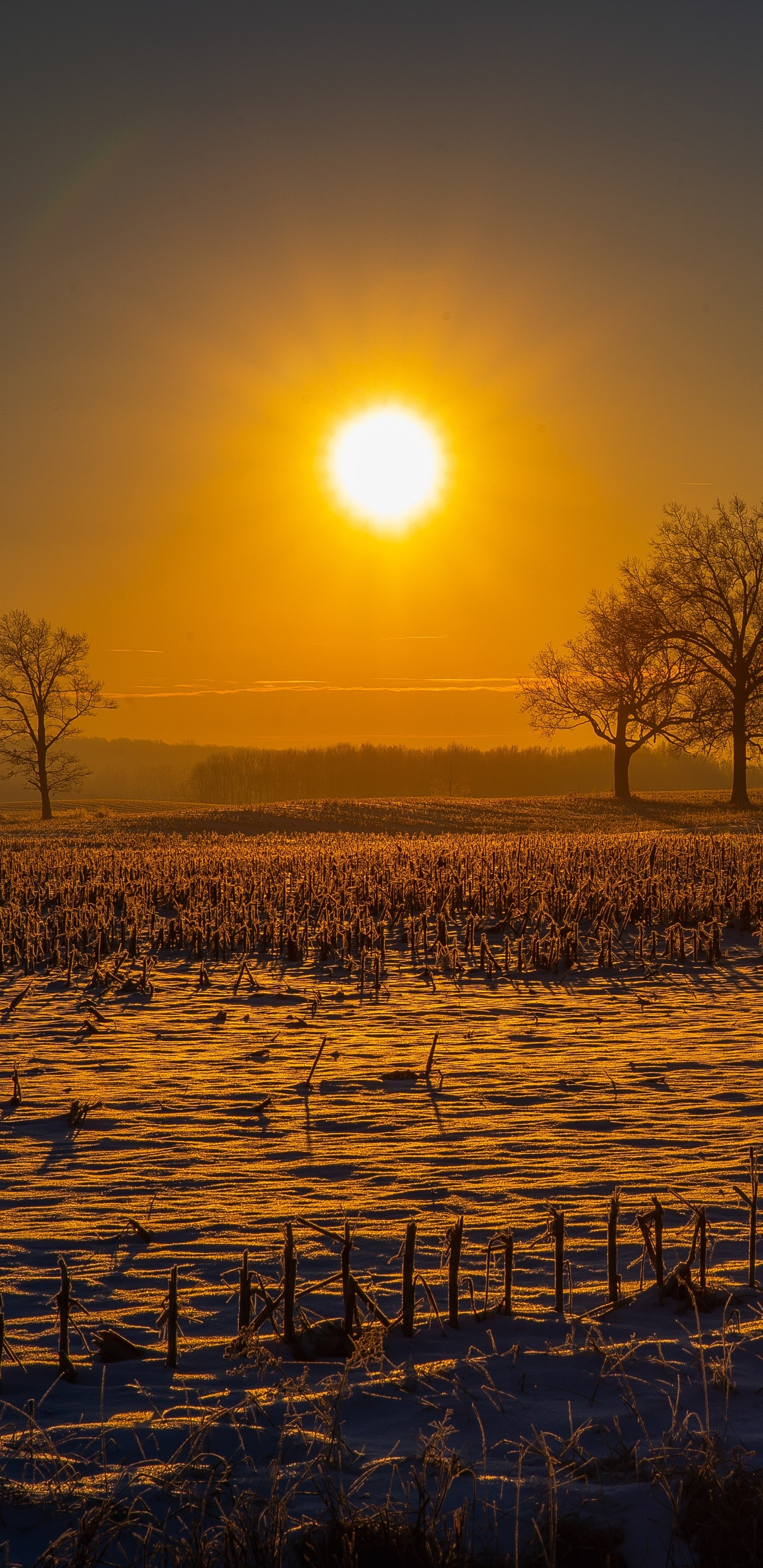 Sun beams