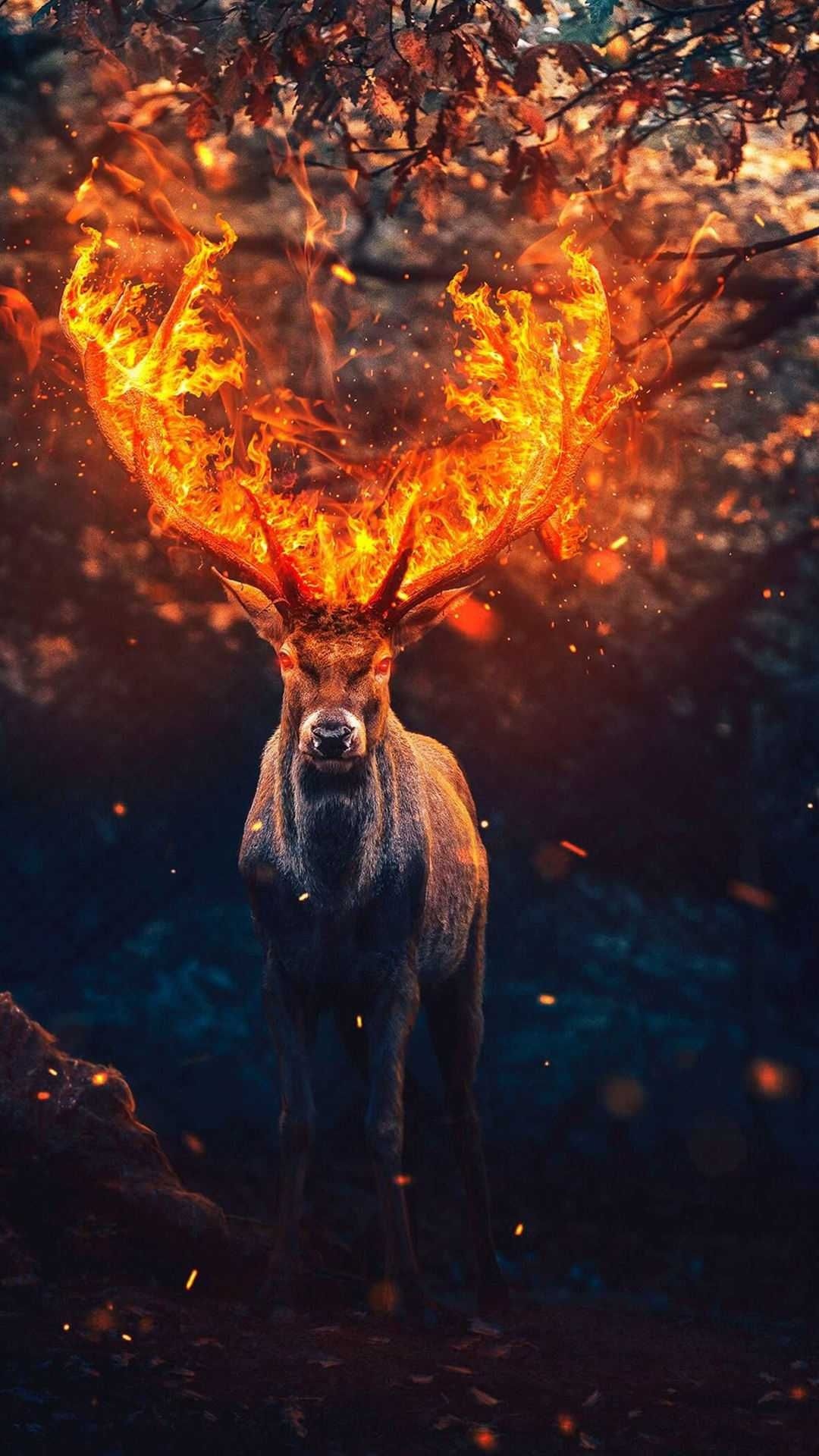 Deer With Fired Horns