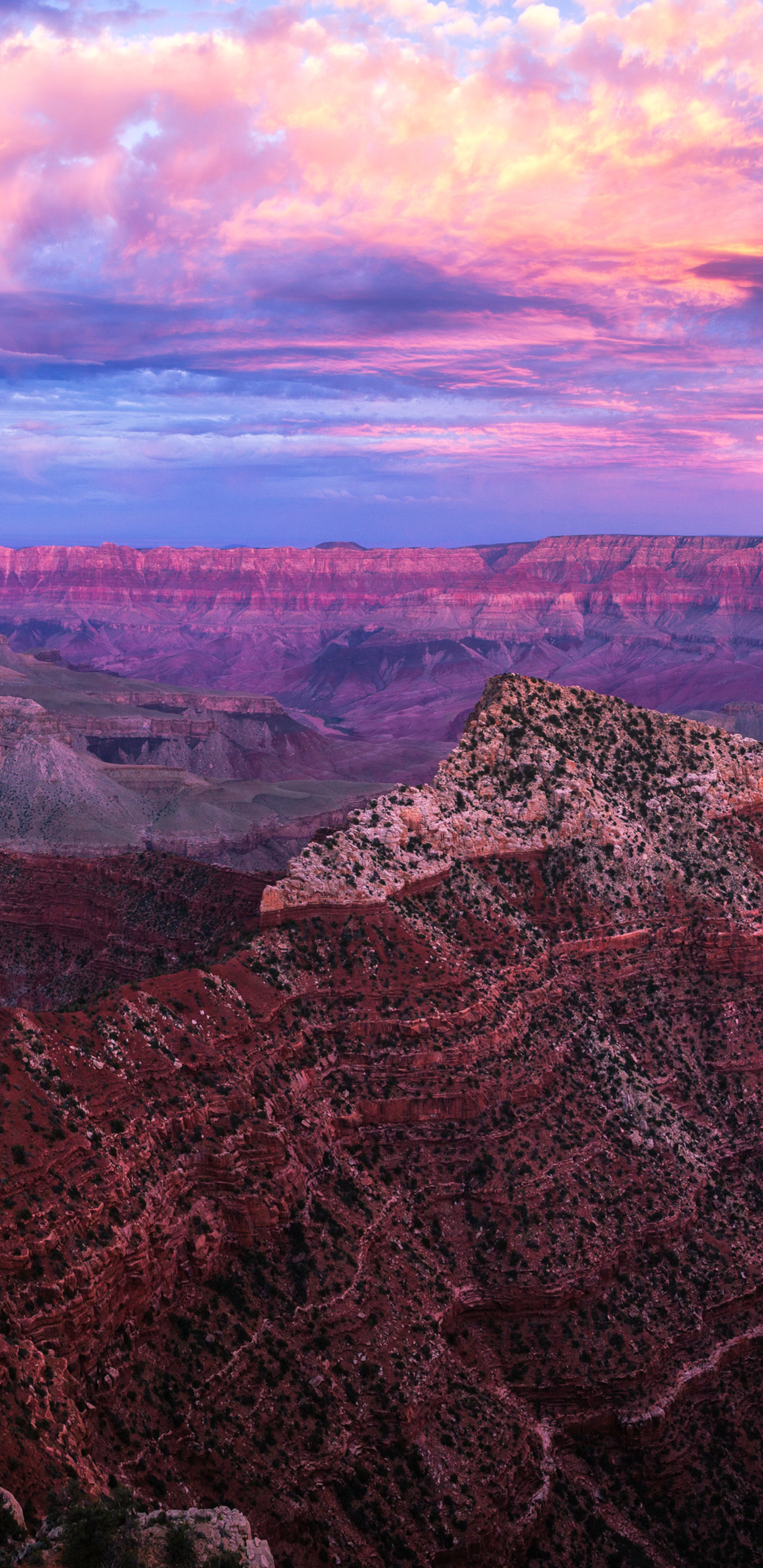 Grand canyon