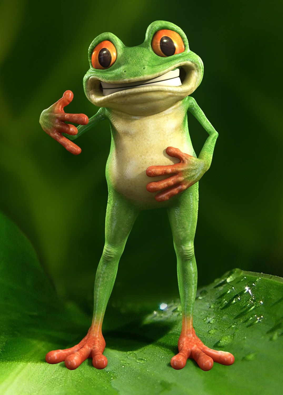 Cute Frog | Animal