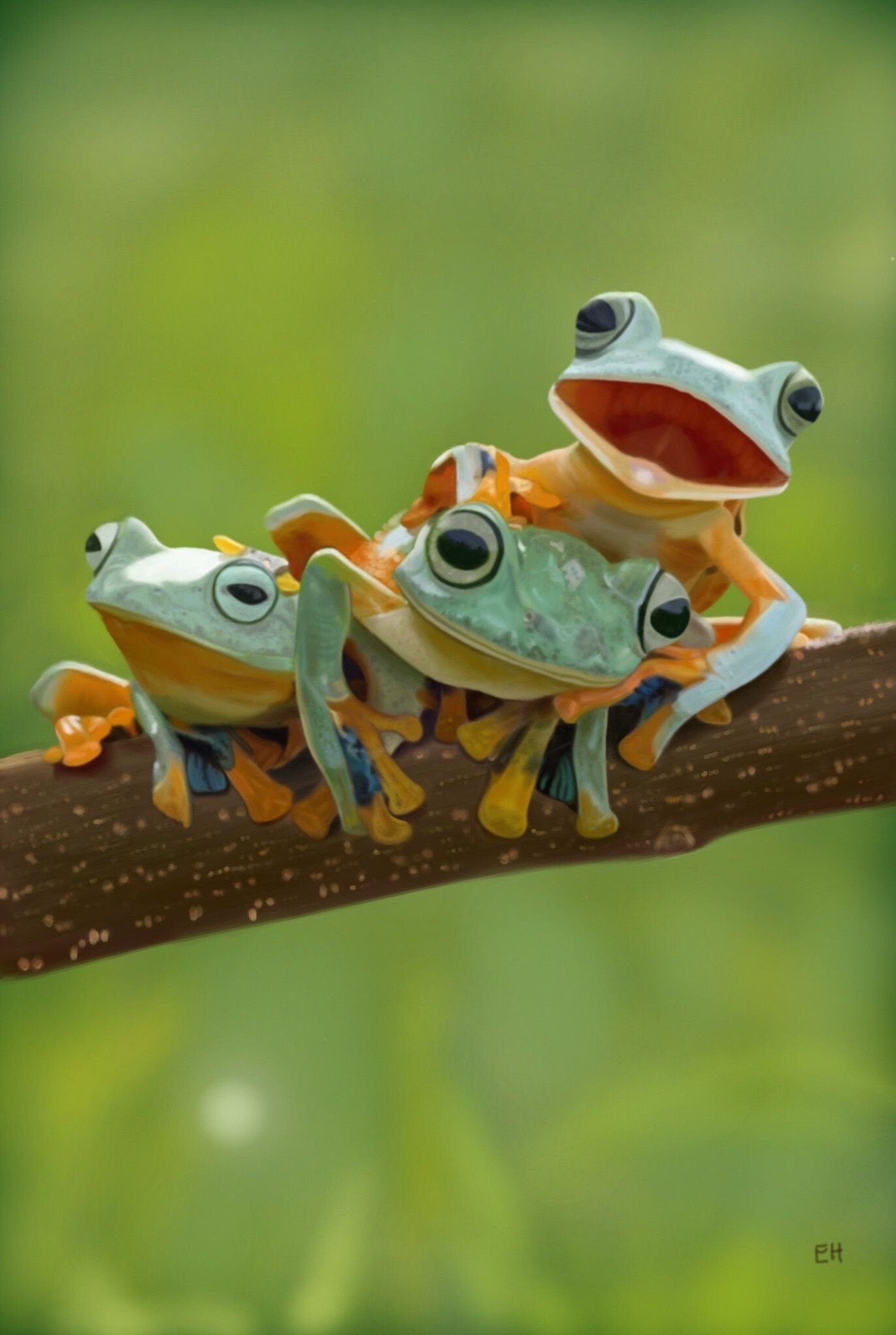 Cute Frog | Adorable