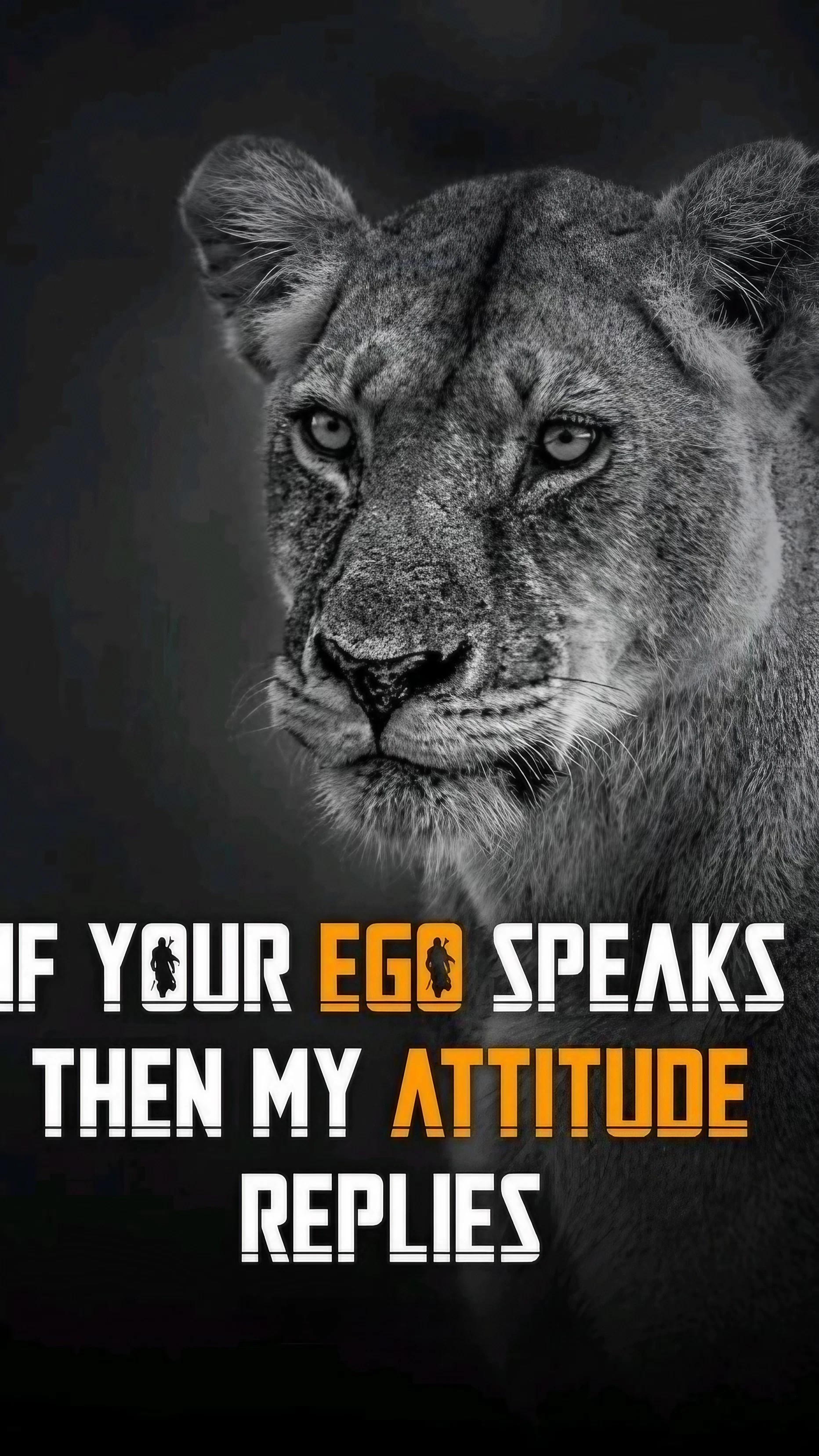 Attitude Quotes - Lioness Background