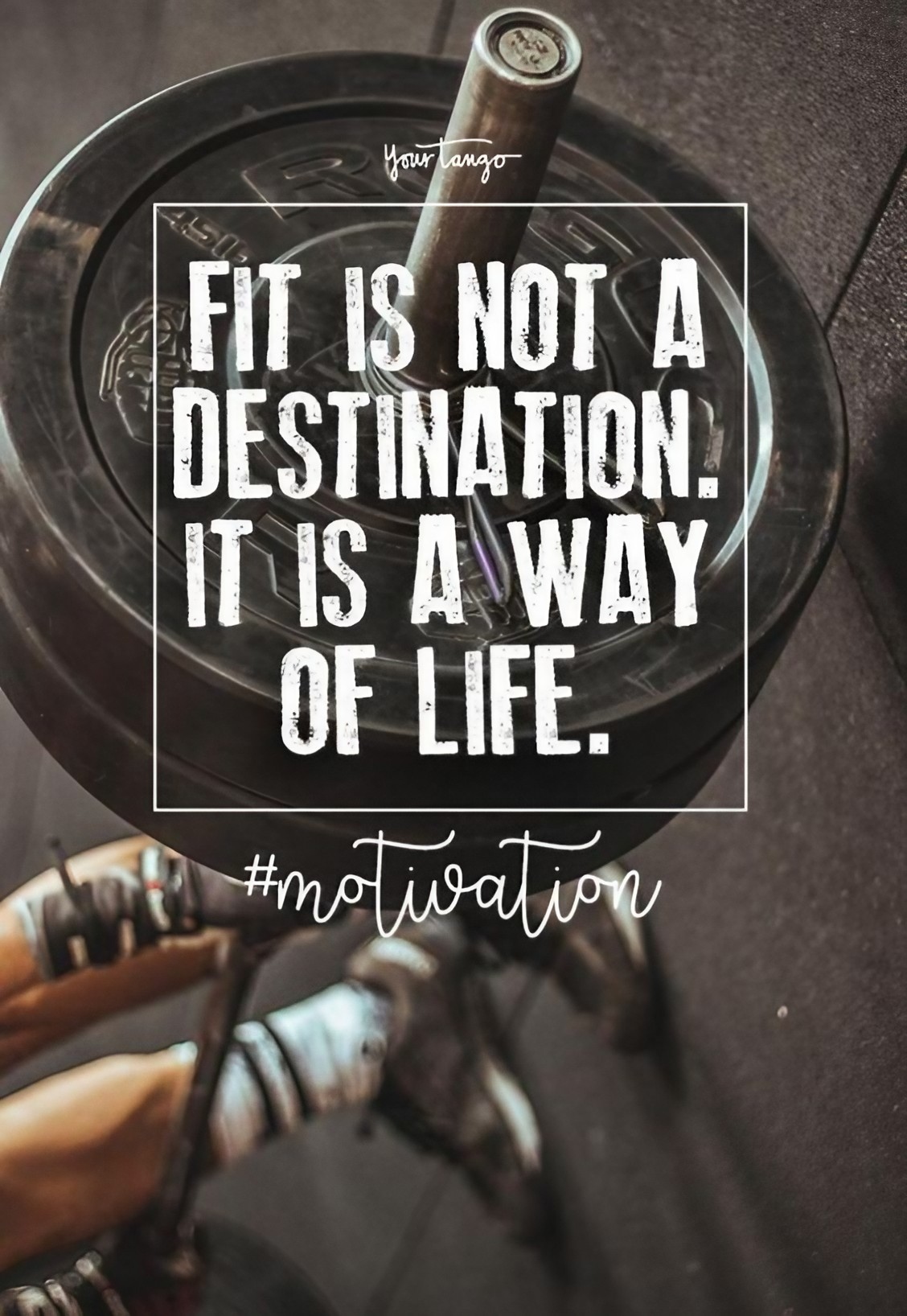 Fitness quotes - Fit