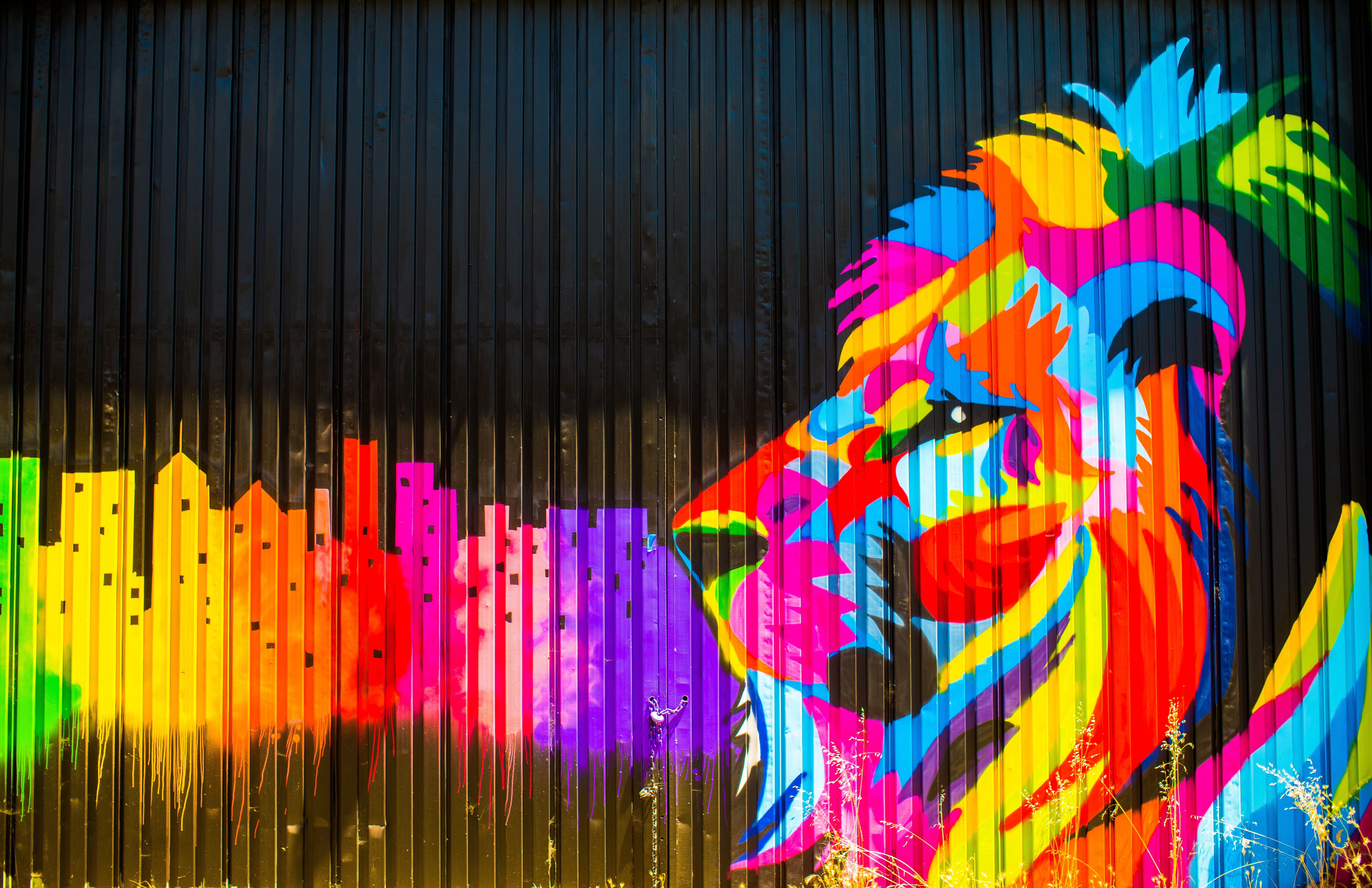 Graffiti art - Abstract colorful lion