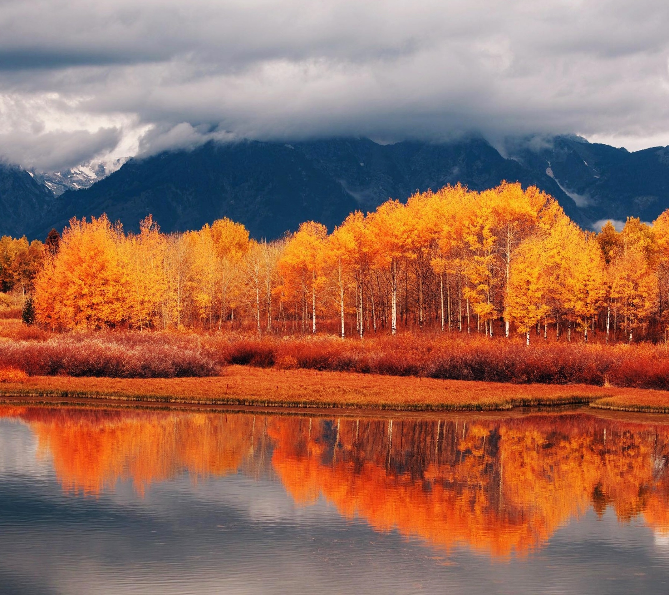 Natural Scenery - Autumn Trees