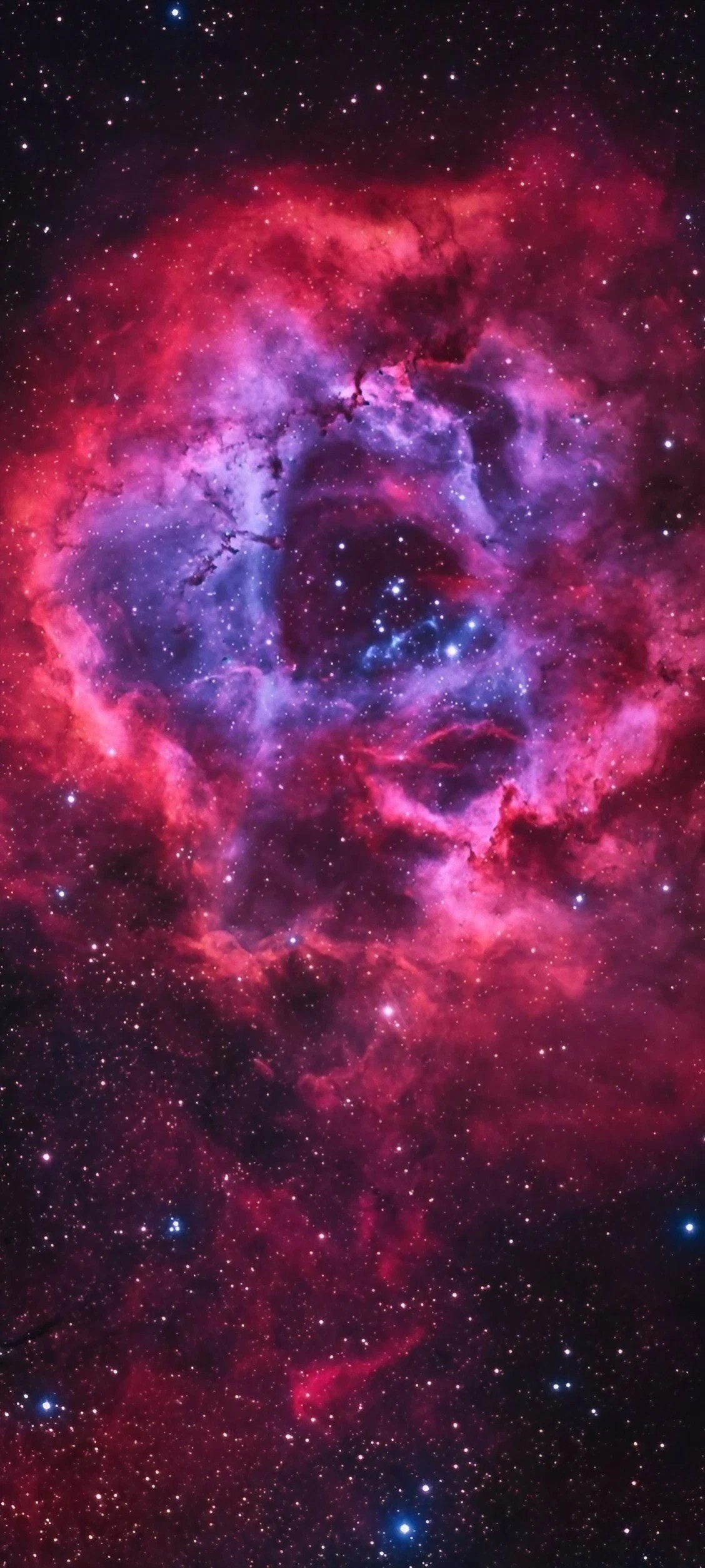 Pink Nebula