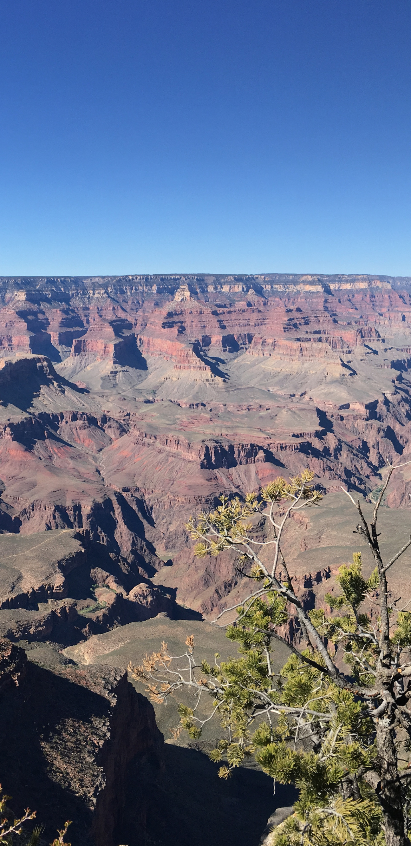 Yaki point