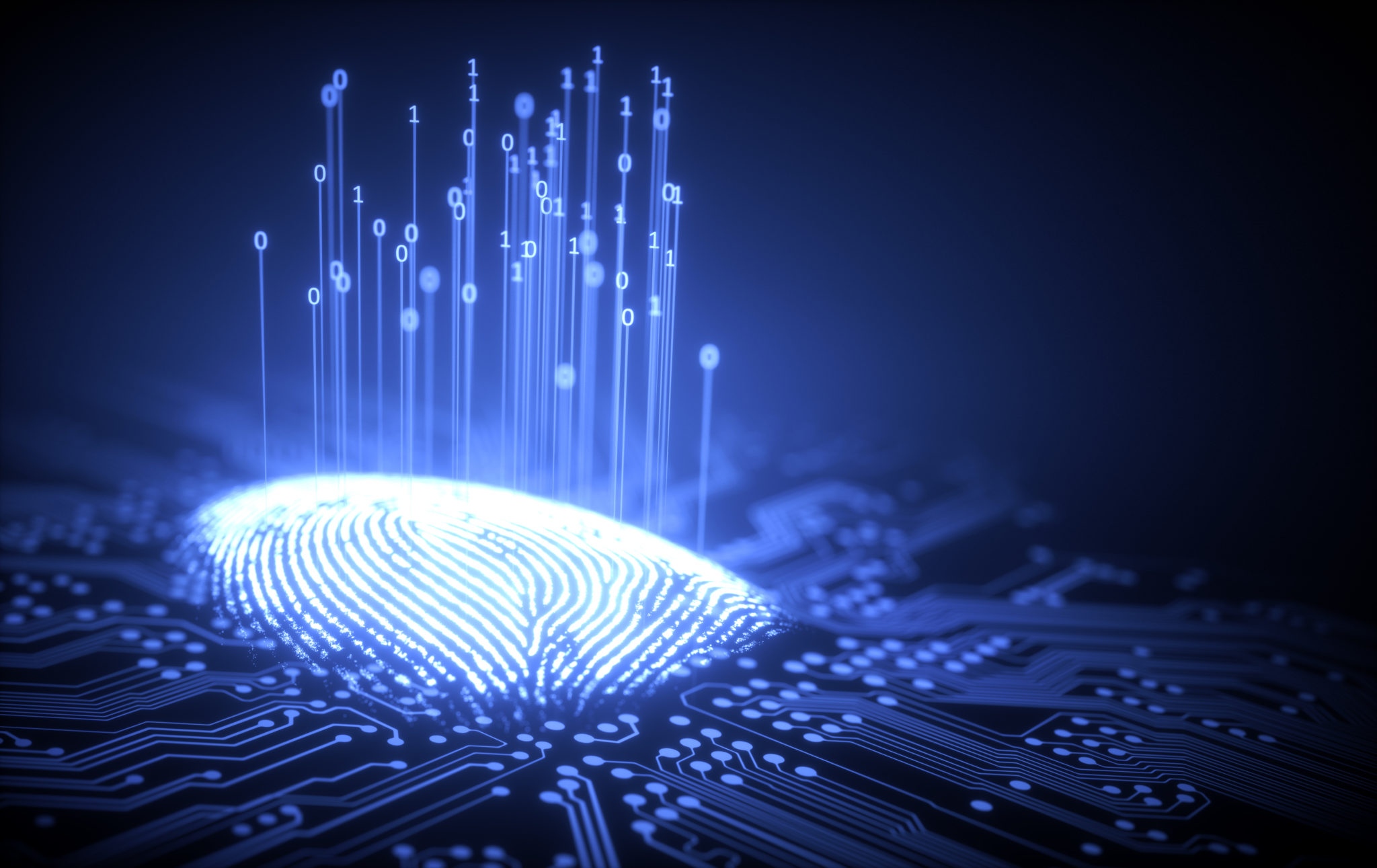 Fingerprint - Digital - Technology