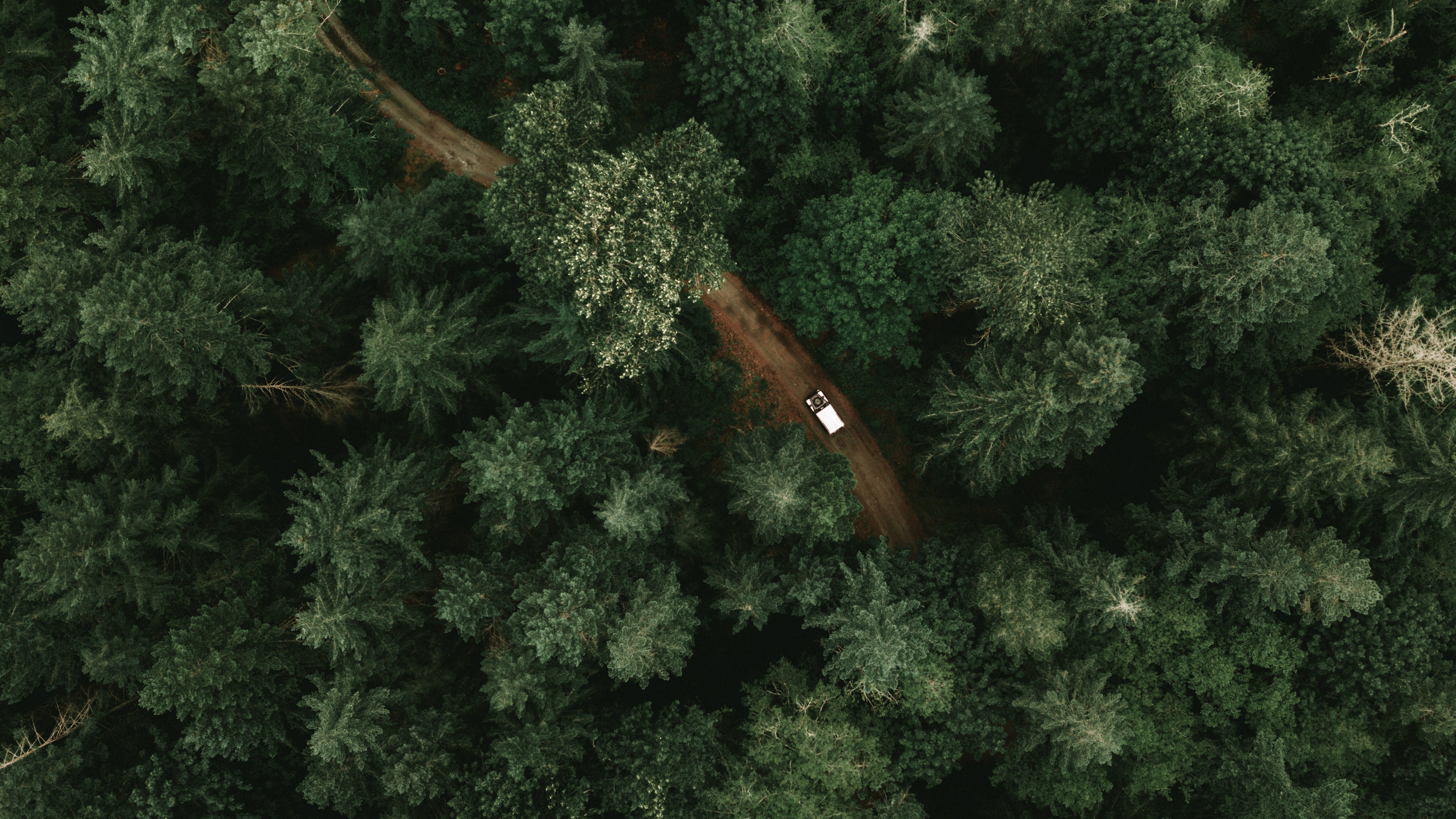 Nature Pictures For Drone Shoot Of Trees