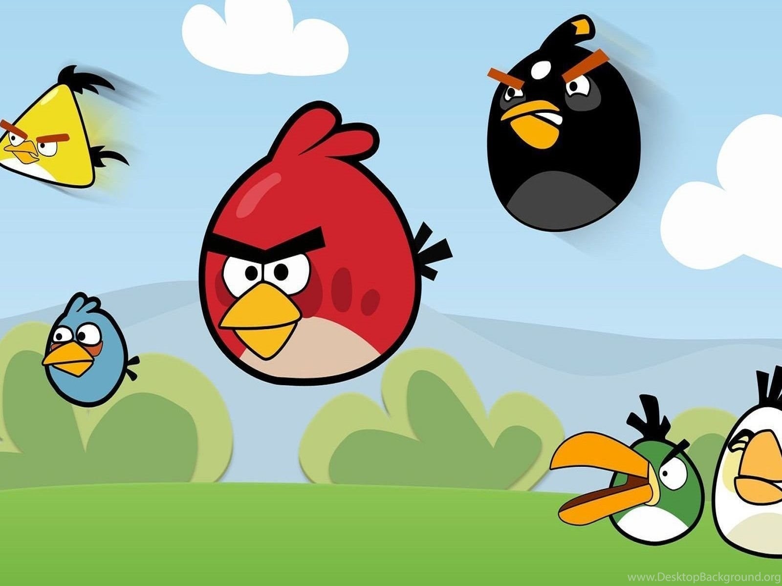 Angry Birds - Game - Cartoon