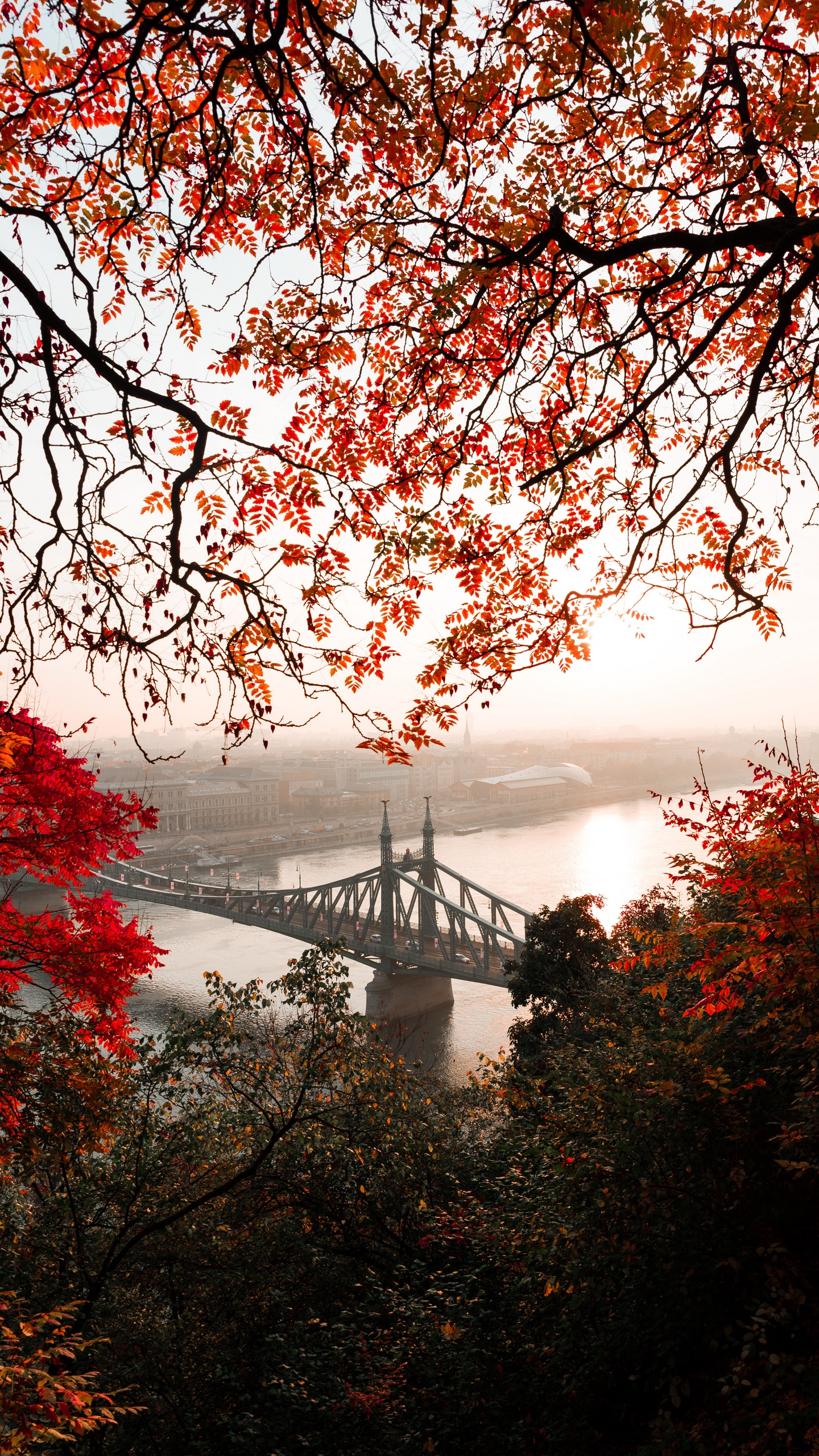 Bridge in Autumn