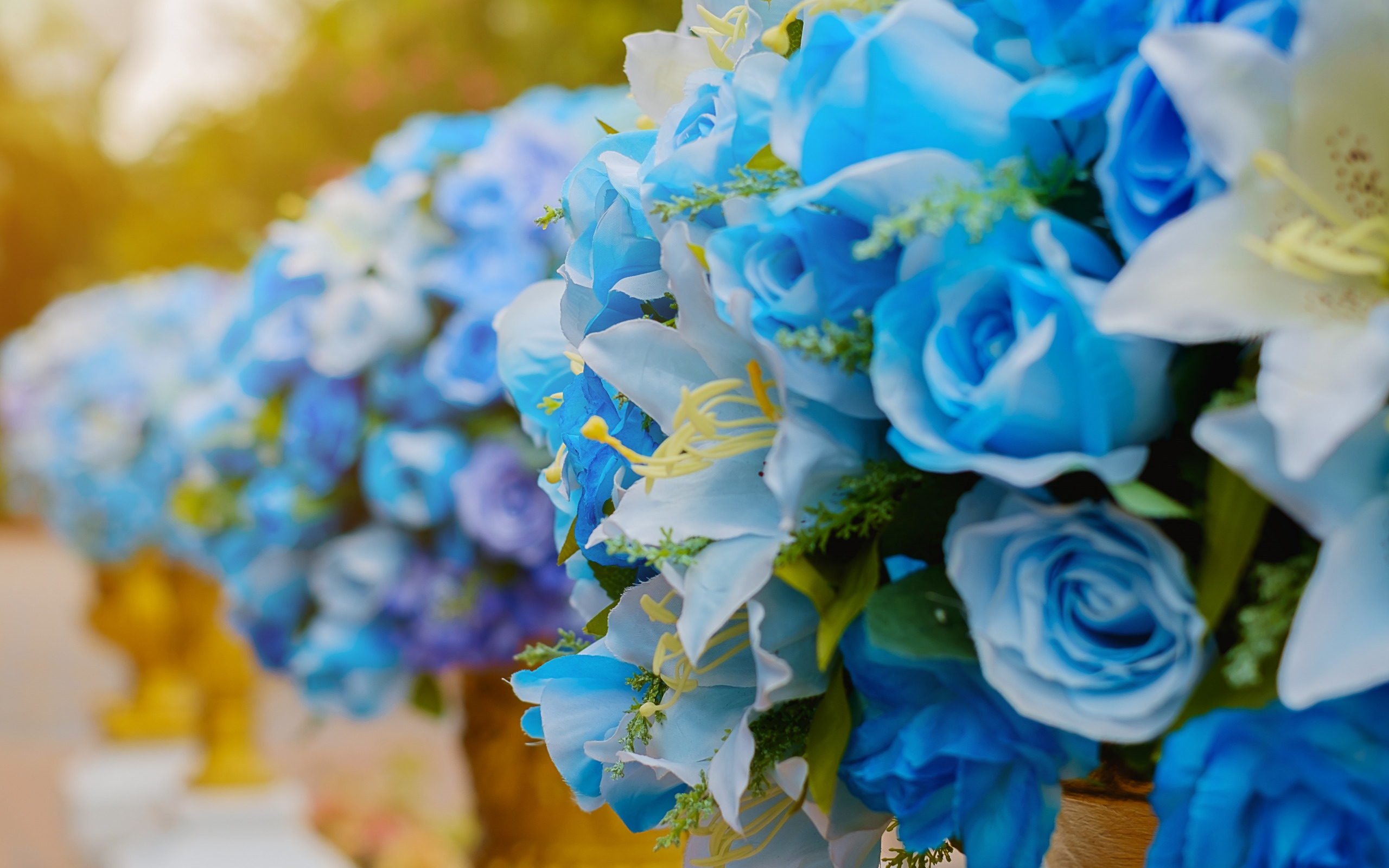 Blue Rose - Roses - Flowers Background