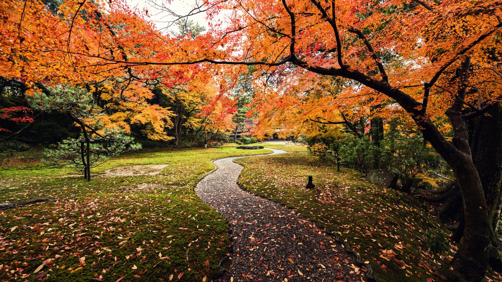 Nature Autumn