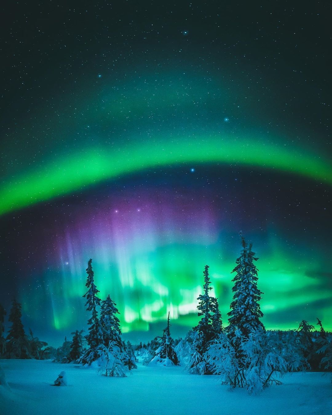 Northern lights - Snow Wallpaper Download | MobCup