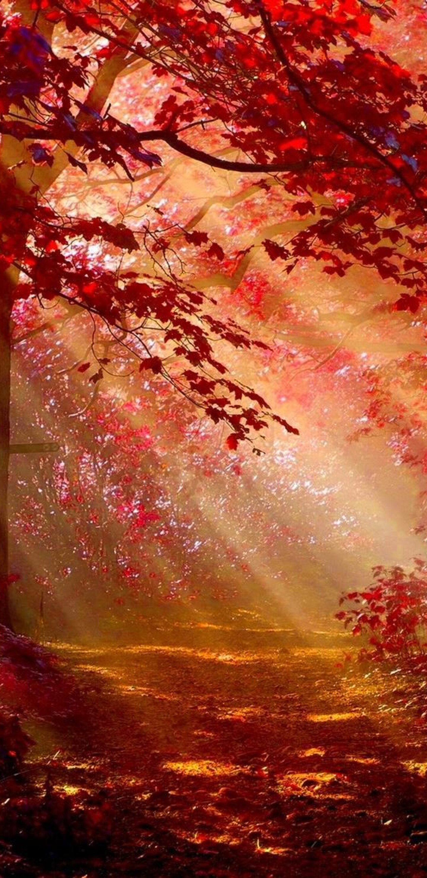 Sunlight in Autumn